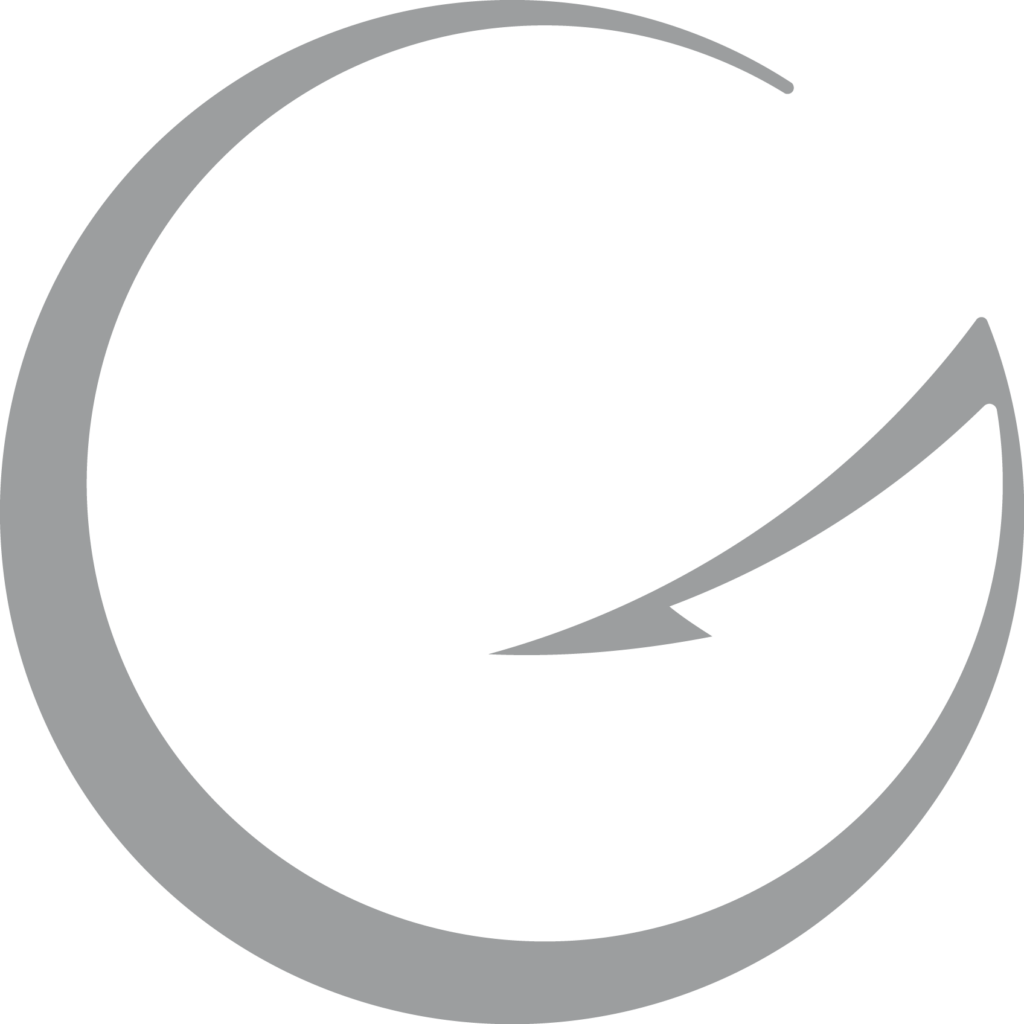 Logo GALILEO Gris